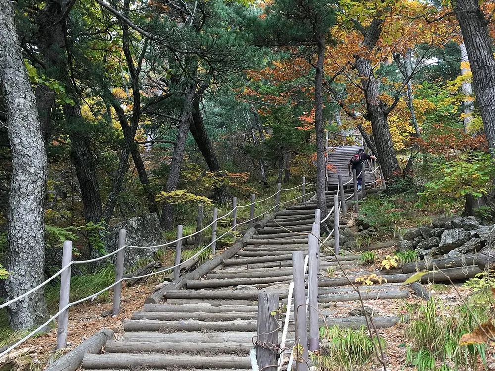 단풍이 든 숲 사이로 통나무 계단 등산로가 이어지고 배낭을 멘 등산객이 오르고 있는 모습