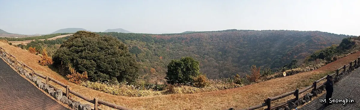 제주 산굼부리 분화구 가장자리의 가을 풍경. 나무 울타리를 따라 억새와 단풍이 어우러진 넓은 분화구가 파노라마로 펼쳐져 있다